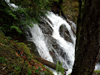 IMG_20120129_102008.jpg