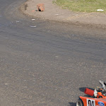DSC_8791.JPG