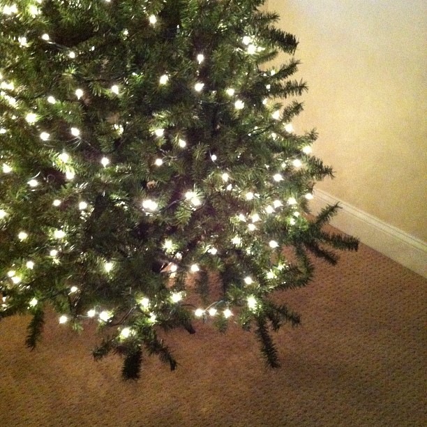 [Life%2520the%2520Epic%2520Journey%2520Christmas%2520Tree%2520White%2520Lights%255B4%255D.jpg]