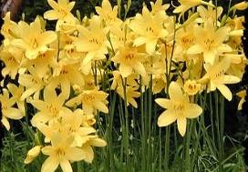 [clip_image004%255B3%255D.jpg]