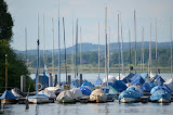 DSC_0124.JPG