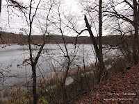 jez. Góreckie