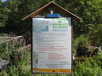SAM_0341.JPG Photo