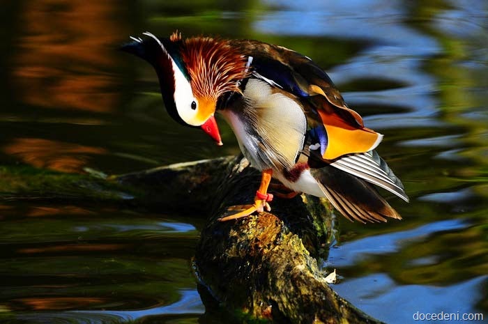 [tinta15%255B2%255D.jpg]