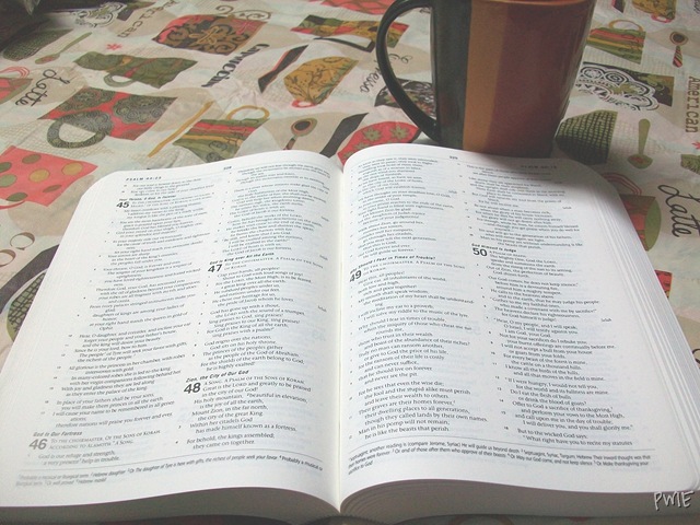 [waterproof%2520bible%2520review%2520006%255B12%255D.jpg]