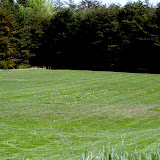 DSC_0604.JPG