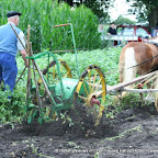graanoogst-09-036.jpg