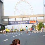Pet Express Doggie Run 2012 Philippines. Jpg (228).JPG