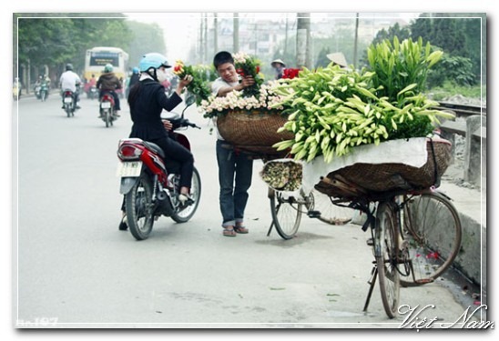 Very wonderful photos of a peaceful Vietnam with friendly and hospitable people