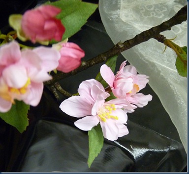 kirsche_rosa6