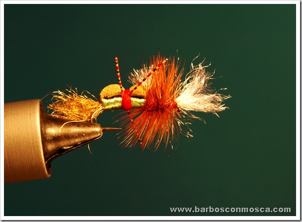 www.barbosconmosca.com