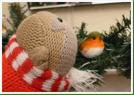 awe and wonder christmas robin awe and wonder christmas robin