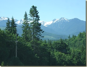 DSCF7396