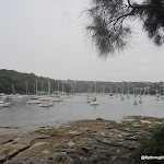 IMG_3507.JPG