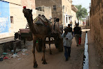 Mandawa, India 156.JPG