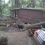 2012-08-06 17.37.05.jpg