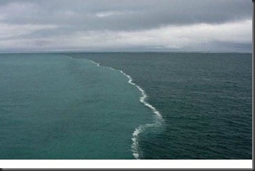 Foto Aneh Tapi Nyata dari Penjuru Dunia Foto Aneh Tapi Nyata dari Penjuru Dunia