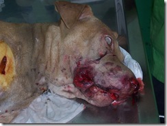 photo_1 photo_1