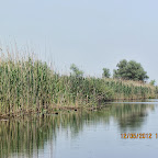 IMG_7619.JPG