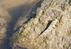 DSC06599.JPG