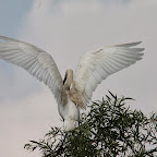 IMG_6675.JPG