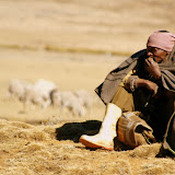 Besotho Herder