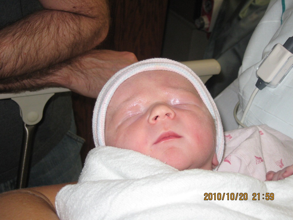 [Shepherd001807%255B4%255D.jpg]