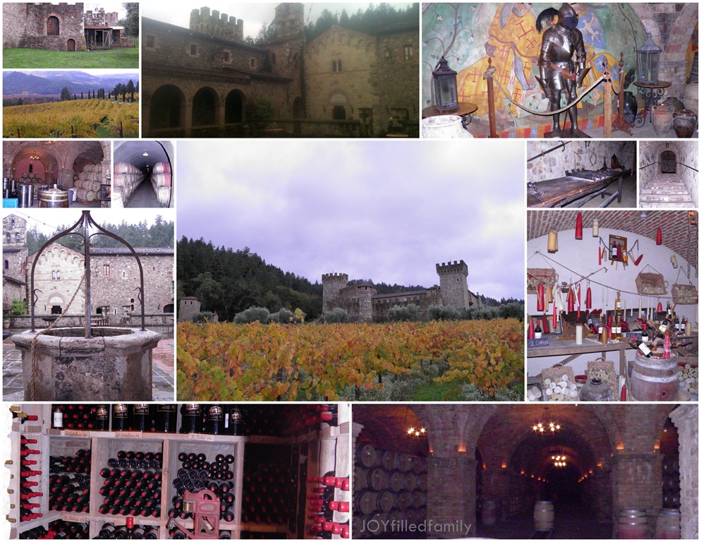 [castellodiamorosa%2520collage%255B6%255D.jpg]