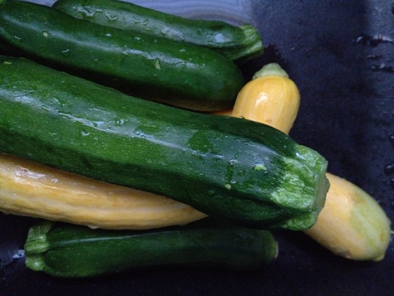 [Zucchini%2520and%2520Squash%255B5%255D.jpg]