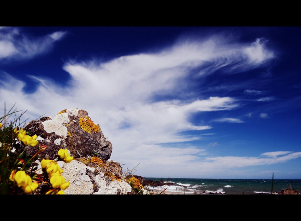 [DSC_1199%255B7%255D.jpg]