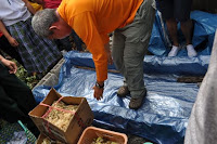pinoyecofarm vermicomposting seminar _0053.JPG