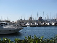 IMG_2988 IMG_2988