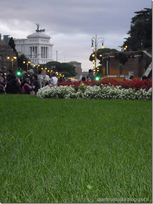 DSCN1229 DSCN1229
