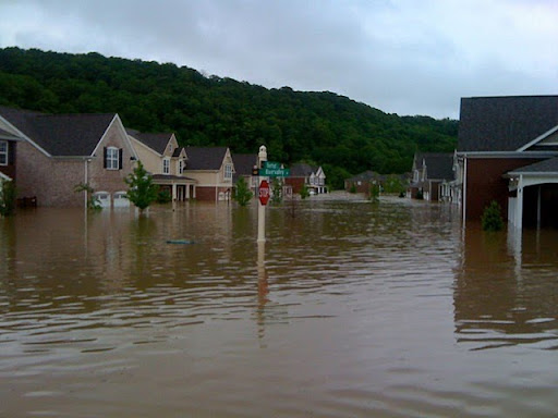 On Sunday, May 2nd, this is what it looked like one block from Liesl and Kevin's home.