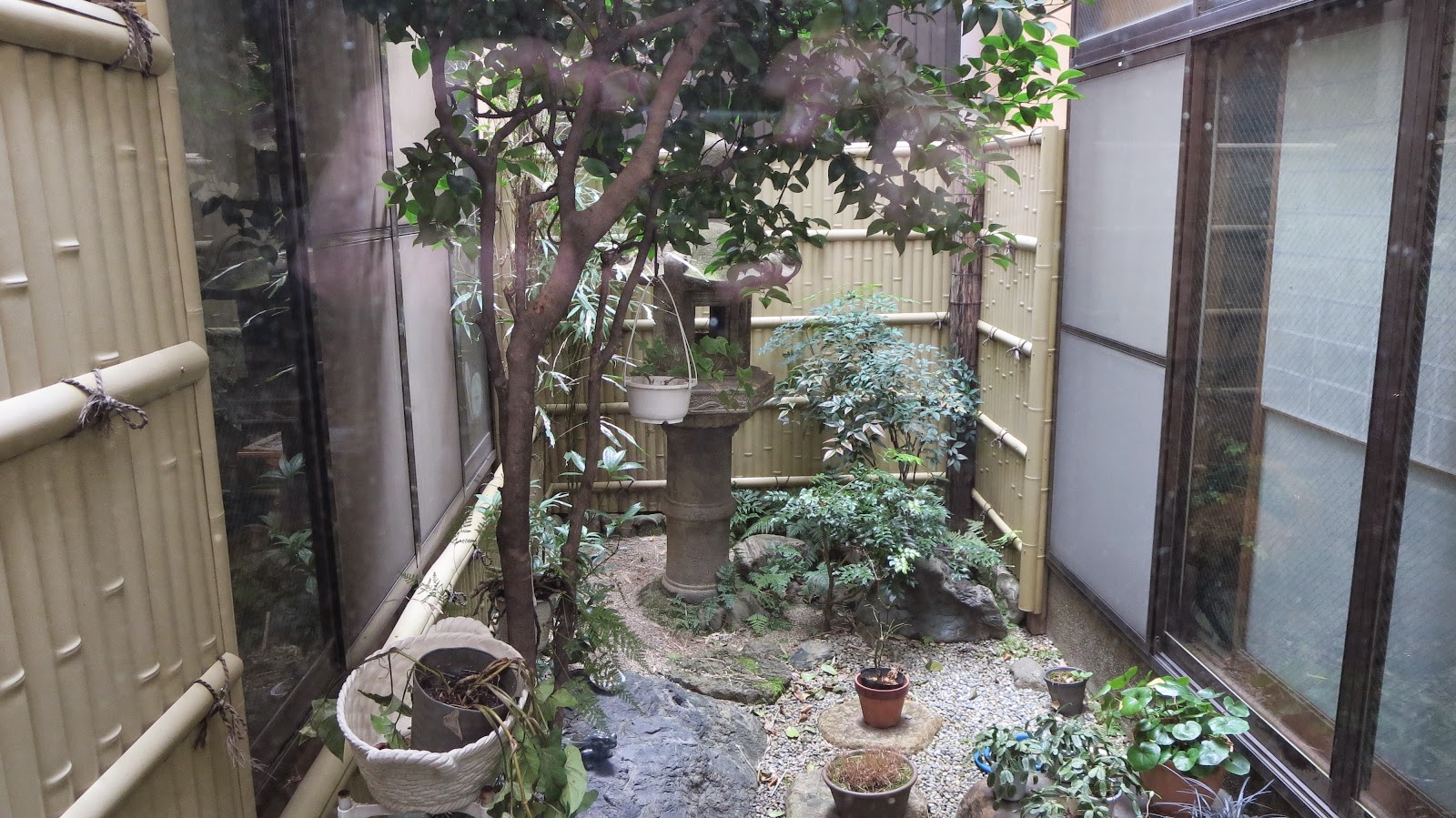 [IMG_1872%255B3%255D.jpg]