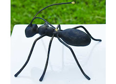 hormiga1.jpg