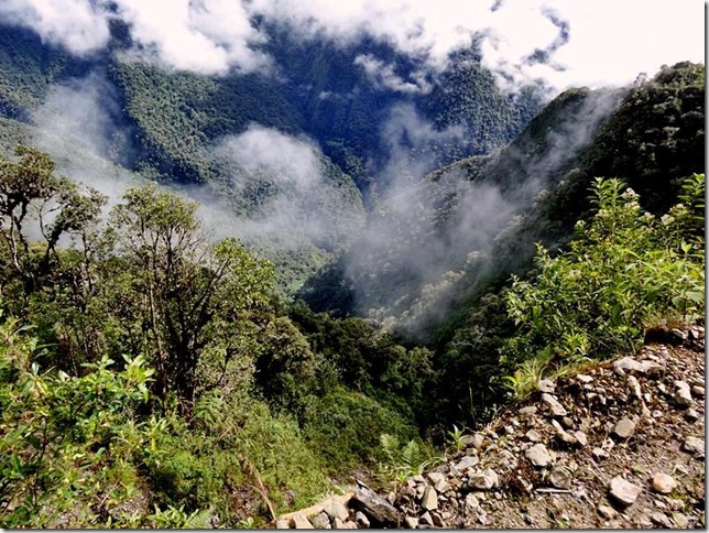 North_Yungas_DSC00730