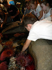 DSCN4027.JPG