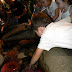 DSCN4027.JPG