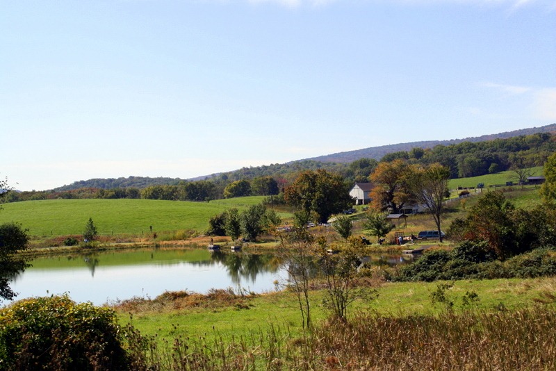 [Virginia%2520Trip-%2520October%25202011%2520310%255B4%255D.jpg]