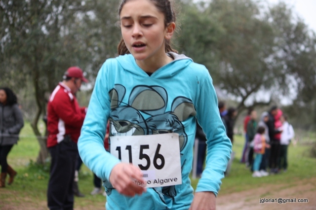 IMG_9984.JPG