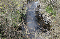 IMG_6505.JPG