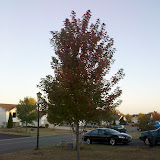 Fall 2011
