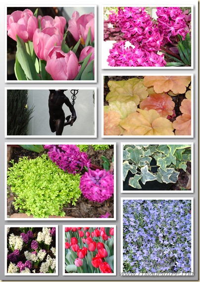 collage spring flower show