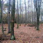 dsc00697.jpg