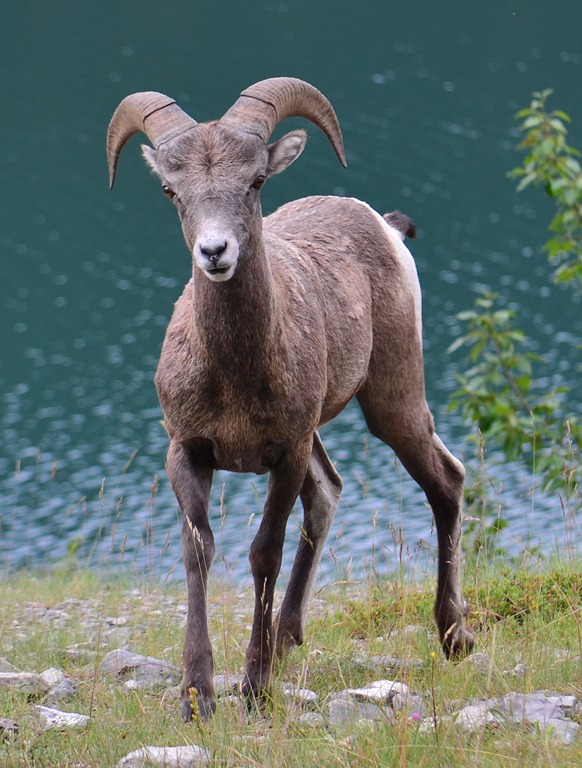 [To%2520Jasper%2520Day%252037_4747%255B4%255D.jpg]