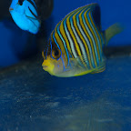 DSC_2174.jpg