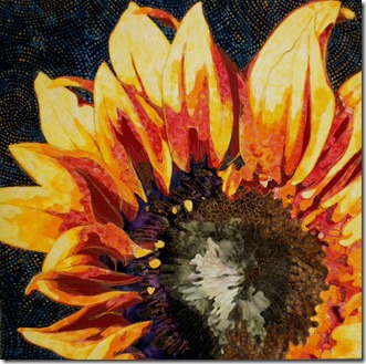 Themel_SunflowerCrop