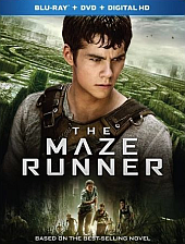 maze maze