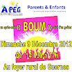 2012-Boum.jpg